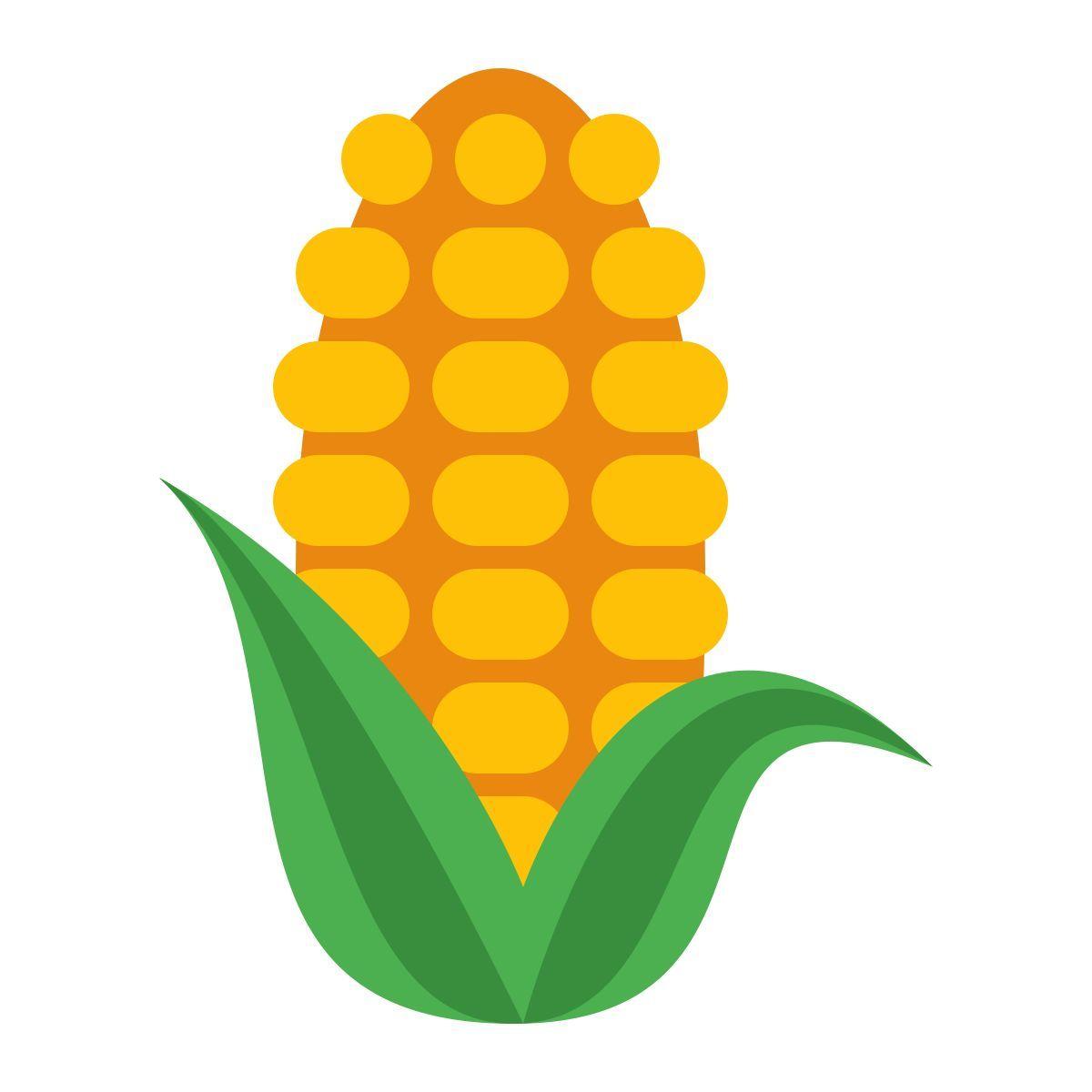 Access to Productive Farm Inputs